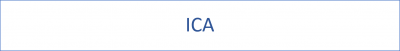 ICA CLI options